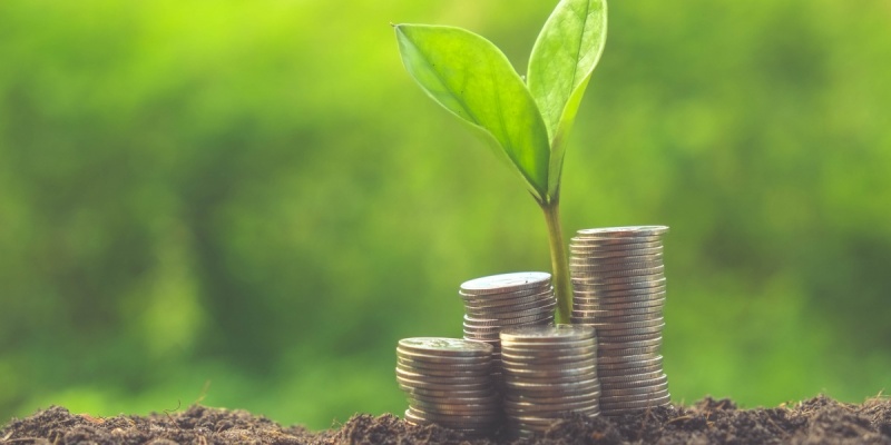 Money with plant sprout growing from it